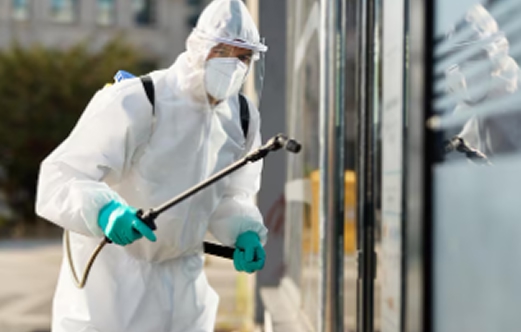 Routine Inspections: The Foundation of Effective Pest Control